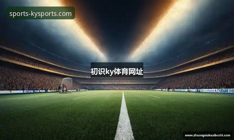 KY体育平台深度解析：哪个中国官网入口最值得信赖？